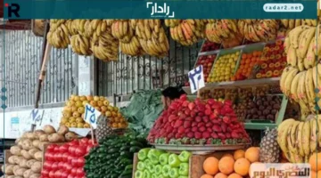 استقرار أسعار الفاكهة في أسواق الأقصر الاثنين 15 ديسمبر 2025